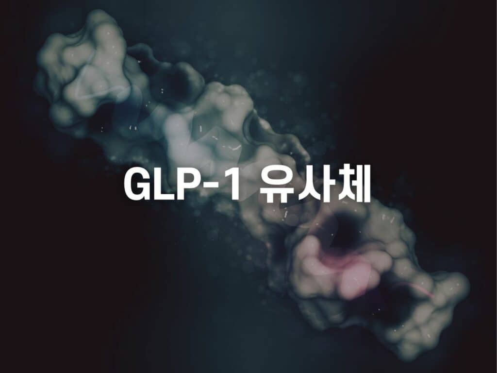 GLP-1 유사체
