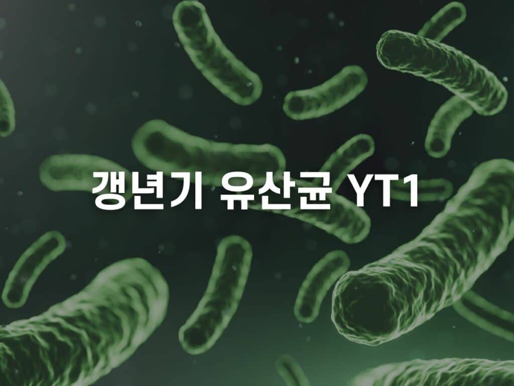 갱년기 유산균 YT1